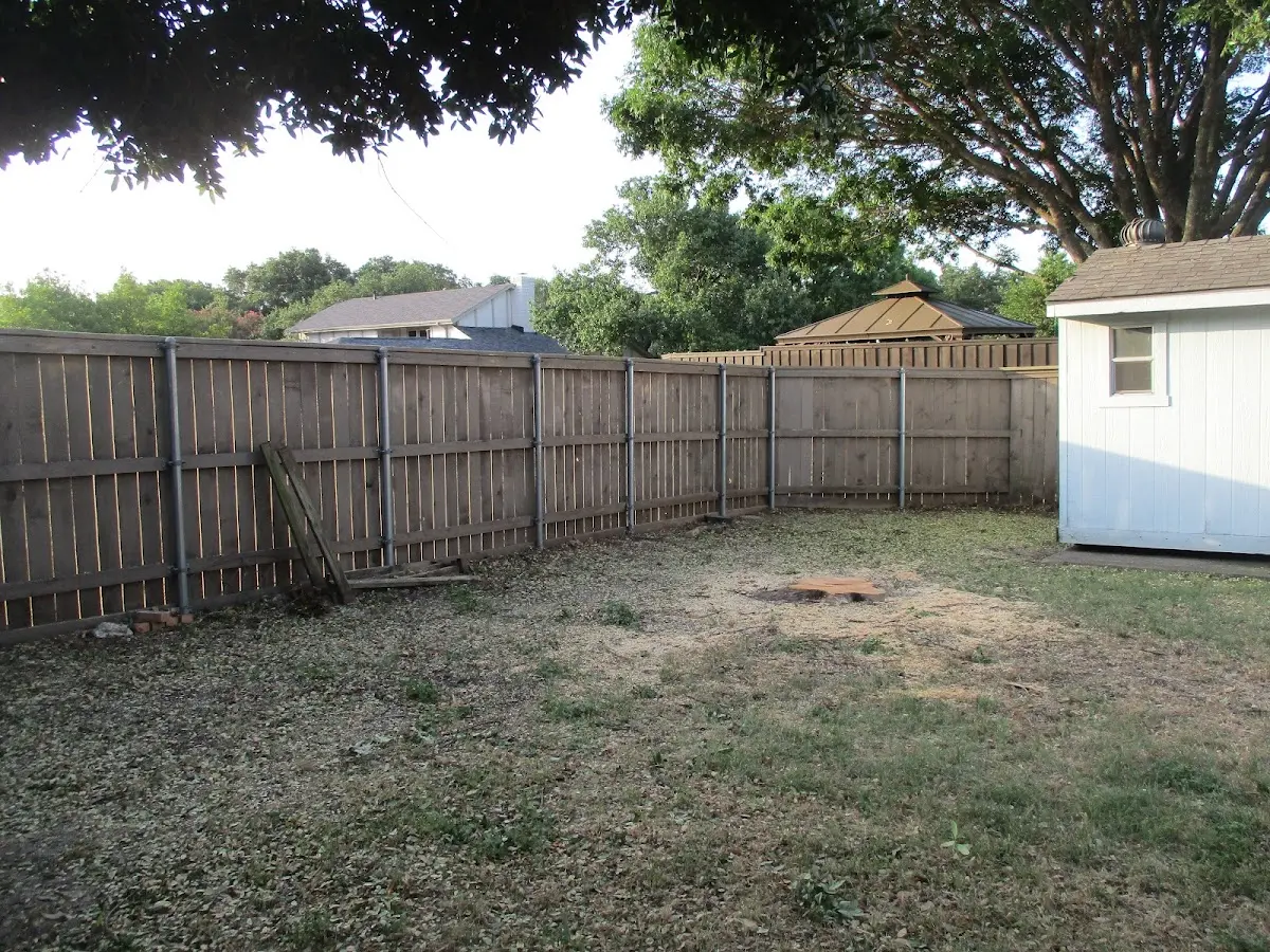 Cleared yard after professional tree removal in Harvey